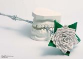 Gesso comum