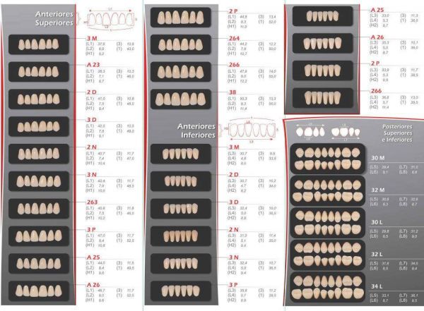 Dentes em acrílico